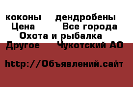 коконы    дендробены › Цена ­ 25 - Все города Охота и рыбалка » Другое   . Чукотский АО